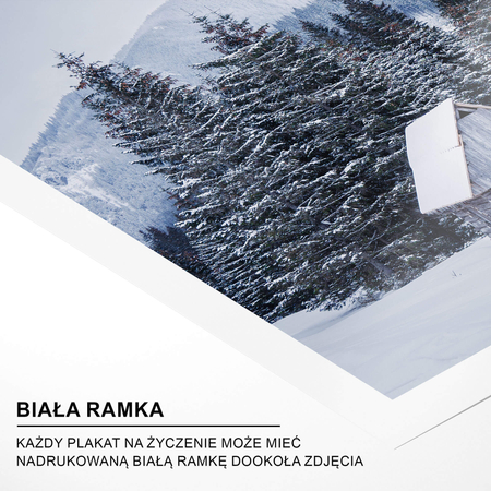 Plakat Zimowa Dolina