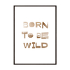 Plakat Born To Be Wild