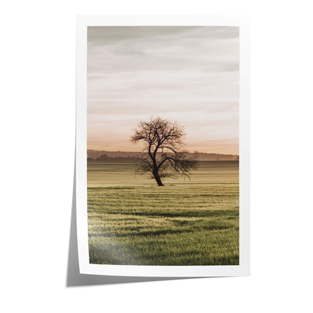 Plakat Samotne Drzewo