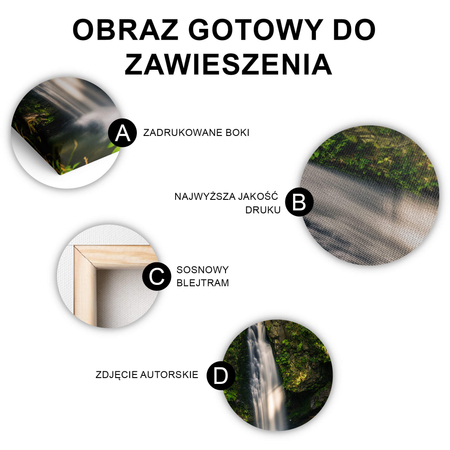 Obraz Wodospad Wilczki