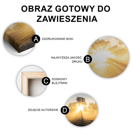 Obraz Gra Świateł