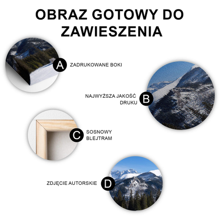 Obraz Zimowa Panorama Tatr