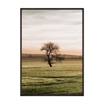 Plakat Samotne Drzewo